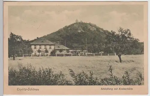 (91641) AK Teplitz-Schönau, Teplice, Schloßberg mit Kreinerhütte, 1924