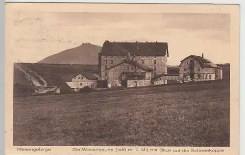 (91631) AK Wiesenbaude, Lucní bouda, Blick z. Schneekoppe, 1924