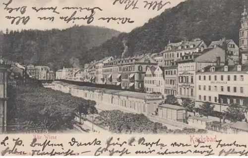 (916) AK Karlsbad, Karlovy Vary, Böhmen, Alte Wiese 1908