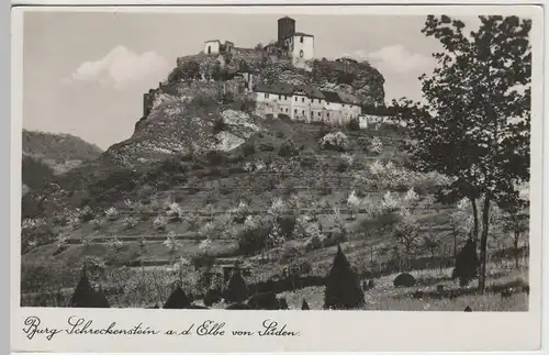 (80639) Foto AK Burg Strekov, Burg Schreckenstein an der Elbe, vor 1945