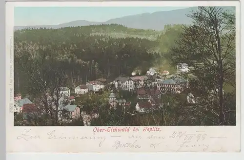 (78005) AK Ober-Eichwald (Dubí) bei Teplitz (Teplice), Totale, 1899