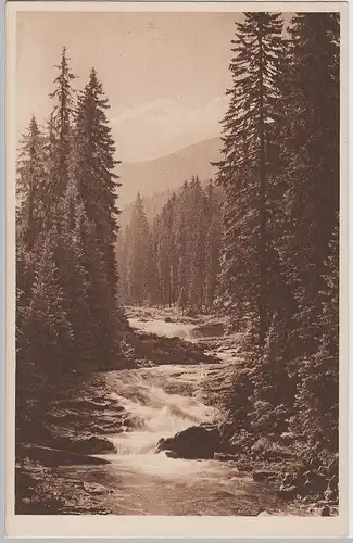 (70480) AK Weißwassergrund (Dul Bílého Labe) im Riesengebirge, 1925