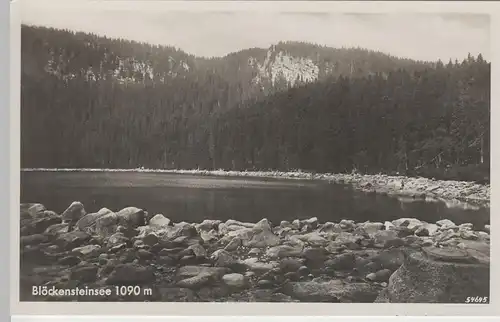 (68340) Foto AK Plöckensteinsee, Plesné jezero, vor 1945