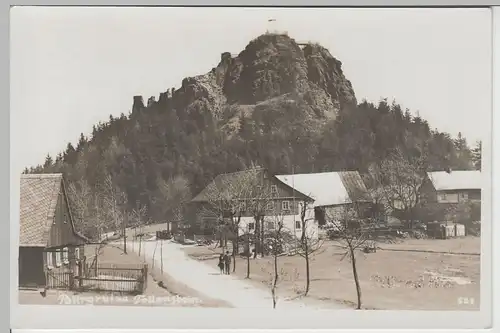 (66009) Foto AK Burg Tollenstein, vor 1945