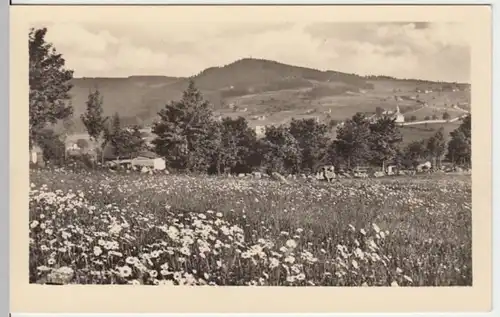(4391) Foto AK Stephanshöhe, Isergebirge, von Schenkenhahn, vor 1945