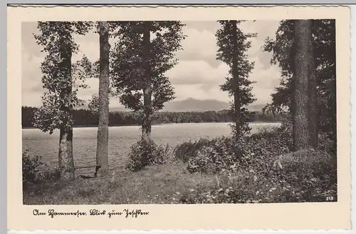(42685) Foto AK Hammersee, Hamr na Jezere, Jeschken, Jested 1939-45