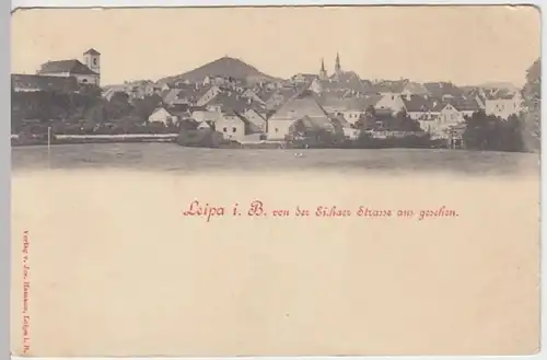 (21249) AK Leipa in Böhmen, Ceska Lipa, Panorama, bis 1905