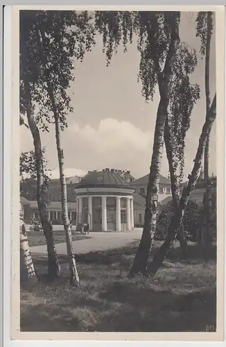 (110414) Foto AK Franzensbad, Frantiskovy Lázne, Birkengruppe m.Bl.a. Franzensqu