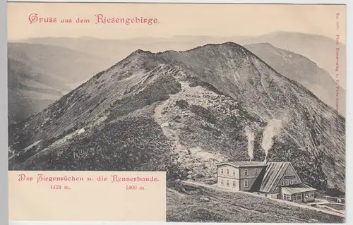 (107625) AK Gruss aus dem Riesengebirge, Ziegenrücken m. Rennerbaude, vor 1905