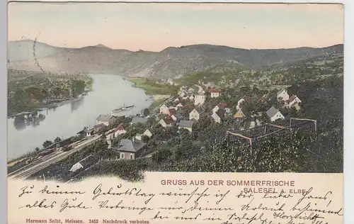 (103633) AK Gruss aus Salesel a. Elbe, Dolní Zálezly 1907