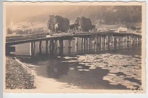 (52027) Foto AK Heu-Fuhren über Holzbrücke, vor 1945