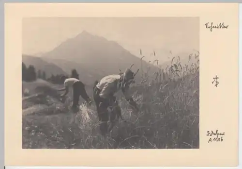 (2395) AK Landwirt, Schnitter, Getreideernte vor 1945