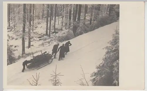 (108395) Foto AK Holzsammler mit Schlitten im Wald, Fotograf Reichenberg 1936