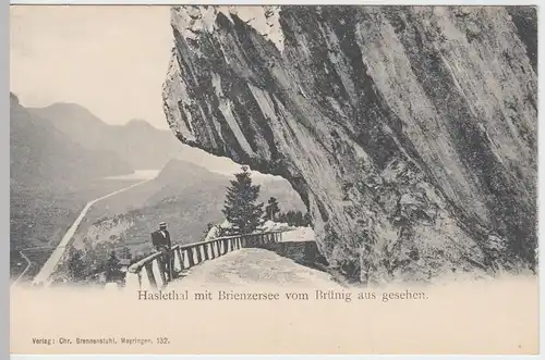 (47671) AK Brienzersee, Haslital, Blick vom Brünig, bis um 1905