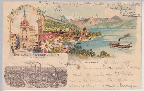(115452) AK Oberhofen am Thunersee, Bern, Litho 1898
