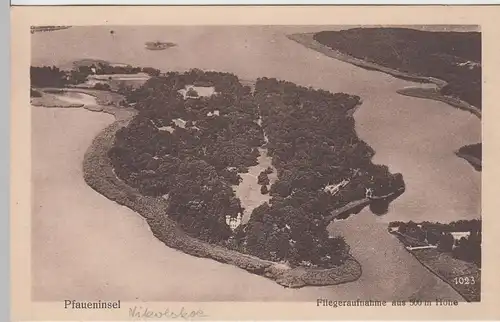 (92793) AK Berlin, Pfaueninsel, Fliegeraufnahme, 1925