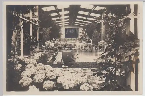 (90861) Foto AK Berlin, Deutsche Gartenbau-Ausstellung 1933