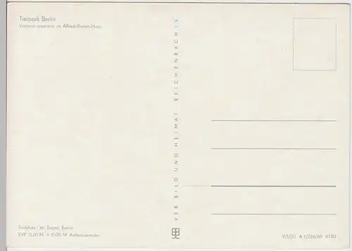 (86032) AK Tierpark Berlin, Alfred Brehm Haus, Inneres, Seerosen 1969