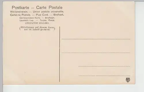 (84613) AK Gruß aus Berlin, Tiergarten, Neuer See, vor 1945