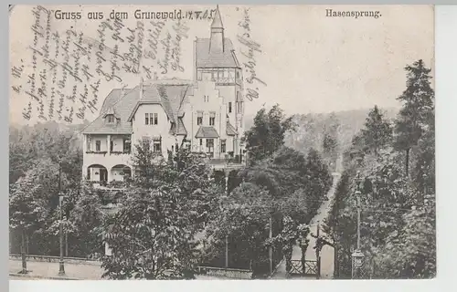 (83060) AK Berlin Grunewald, Hasensprung 1905