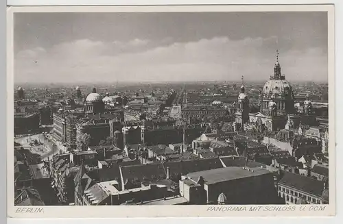 (73798) AK Berlin, Panorama mit Schloss und Dom, vor 1945