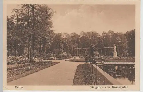 (66950) AK Berlin, Rosengarten im Tiergarten, 1930