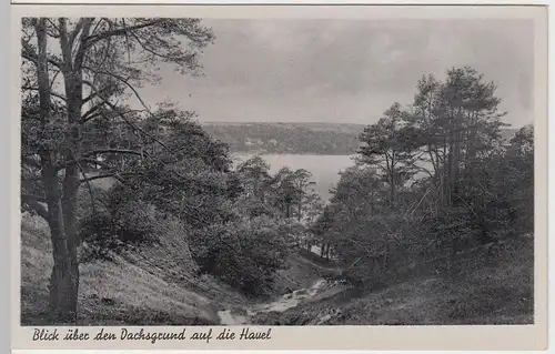 (59884) AK Berlin, Blick über den Dachsgrund auf die Havel 1940/50er