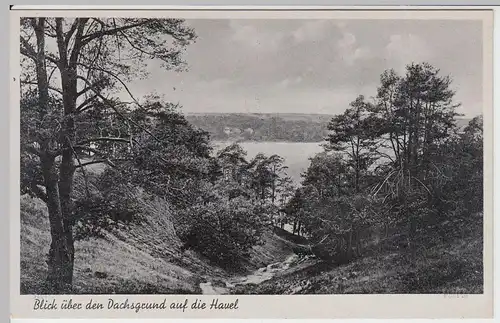 (59550) AK Berlin, Blick über den Dachsgrund auf die Havel 1940/50er