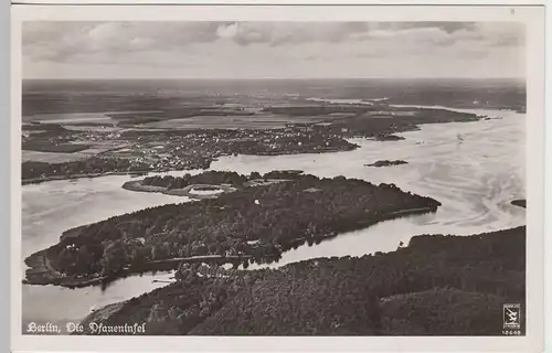 (45623) Foto AK Berlin, Pfaueninsel, 1953