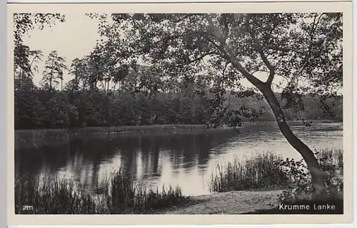 (28553) Foto AK Berlin, Krumme Lanke 1938