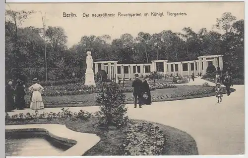 (16146) AK Berlin, Tiergarten, Rosengarten 1909