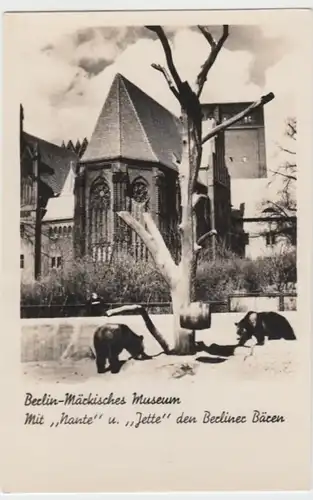 (16125) Foto AK Berlin, Märkisches Museum, Bärenzwinger 1951