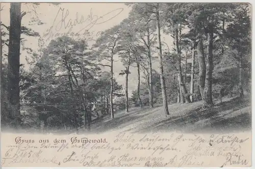 (115168) AK Berlin, Gruss aus dem Grunewald 1902