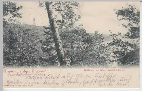 (112517) AK Gruß aus dem Grunewald Berlin, Karlsberg, um 1900, gelaufen 1910