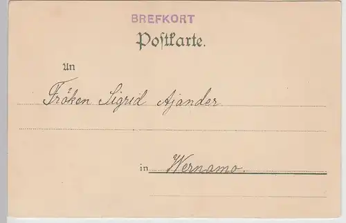 (110596) AK Berlin Niederschönhausen, Restaurant Schloss Schönhausen, vor 1905