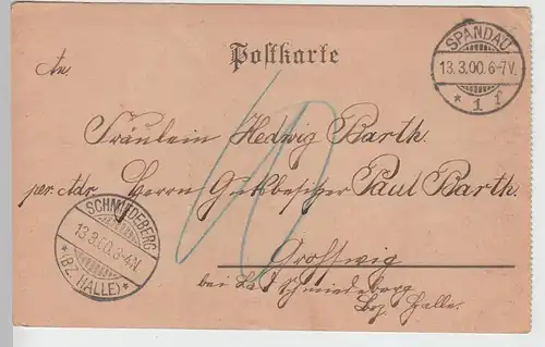 (110595) AK Berlin, Gruss aus Spandau, Markt 1900