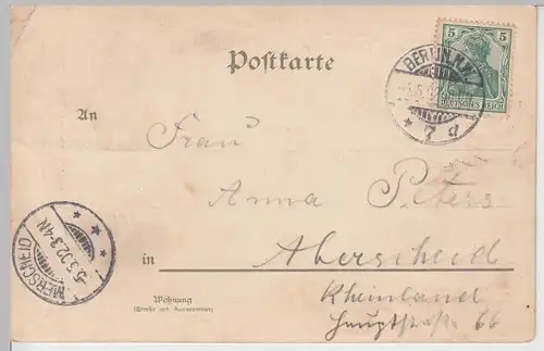 (110477) AK Berlin, Gruss aus dem Zoologischen Garten, neues Straußenhaus 1902