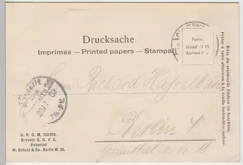 (104234) AK Berlin Charlottenburg, Hundekehle, Villenkolonie Grunewald 1902