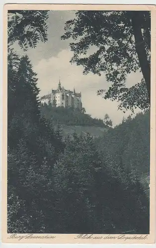 (98619) AK Ludwigsstadt, Burg Lauenstein, Blick aus Loquitztal 1928