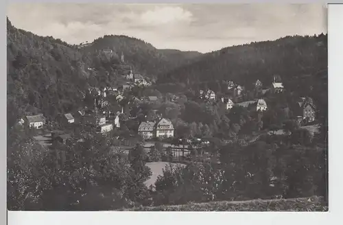 (98215) Foto AK Berneck im Fichtelgebirge, Blick vom Galgenberg, vor 1945