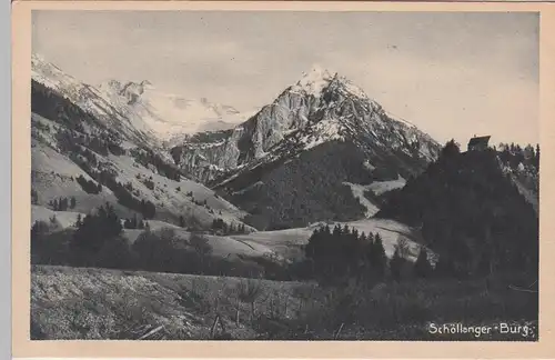 (98177) AK Allgäuer Alpen, Schöllanger Burg, vor 1945
