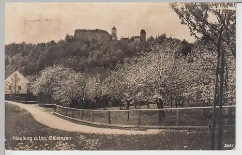 (98161) Foto AK Neuburg am Inn, Blick zum Schloss zur Blütezeit, 1938