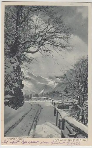 (95989) AK Oberstdorf, Am Wege nach Birgsau, 1921