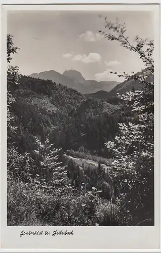 (95807) Foto AK Bad Feilnbach, Jenbachtal, 1930er