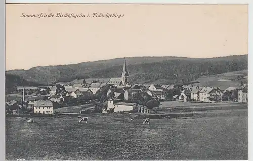 (95718) AK Bischofsgrün im Fichtelgebirge, Panorama, vor 1945