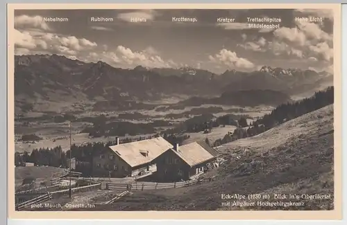 (95693) Foto AK Eck-Alpe, Blick ins Oberillertal, vor 1945