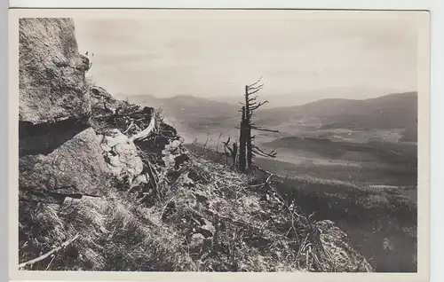 (95494) Foto AK Kötzting, Zellertal vom Steinbühlergesenke, vor 1945