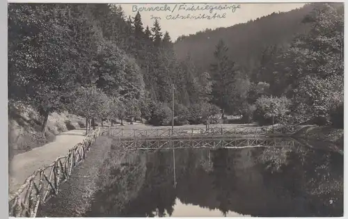 (92550) Foto AK Berneck im Fichtelgebirge, Im Oelschnitztal, 1930