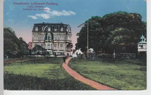 (92481) AK Pinzberg, Kurhotel zur Terrasse, 1916