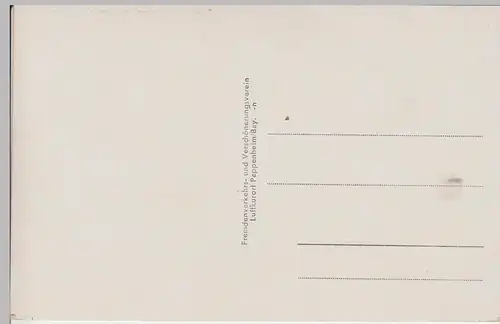 (90276) AK Pappenheim, Bayern, Galluskirche, Blick v.Weinberg, v. 1945